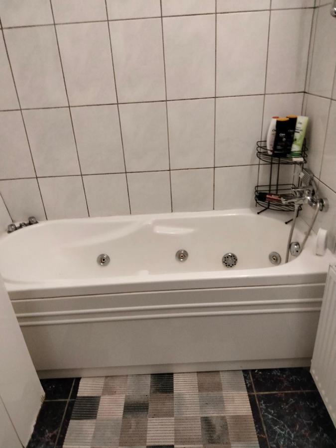 Apartament Cu Terasa La Casa Tina Timisoara Exterior photo