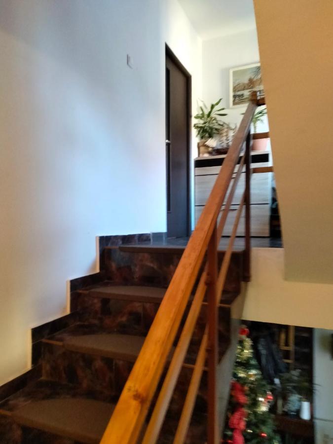 Apartament Cu Terasa La Casa Tina Timisoara Exterior photo